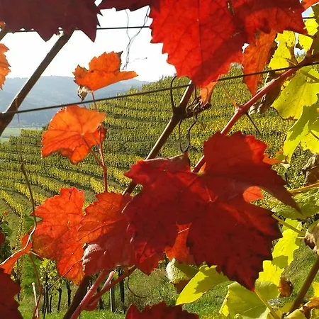 Bed and breakfast Schwarzwald