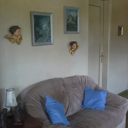 Schwarzwald 住宿加早餐酒店 哥根巴赫