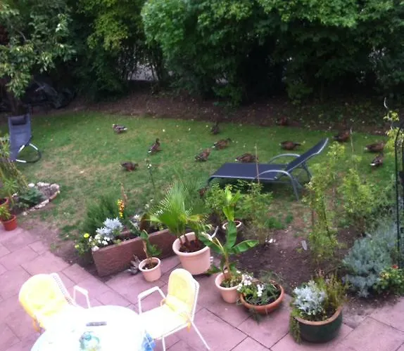 Schwarzwald 住宿加早餐酒店