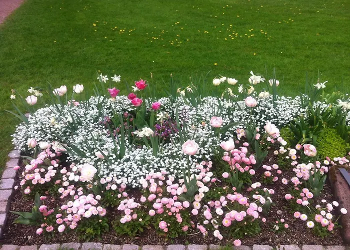 Schwarzwald 住宿加早餐酒店 *