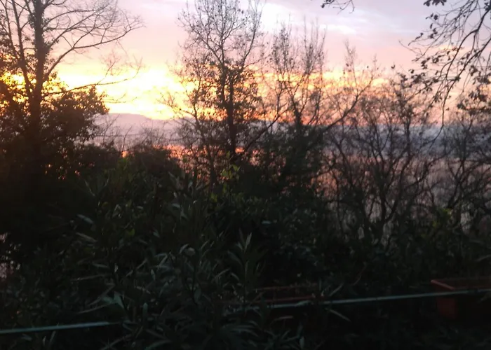 Schwarzwald * 哥根巴赫