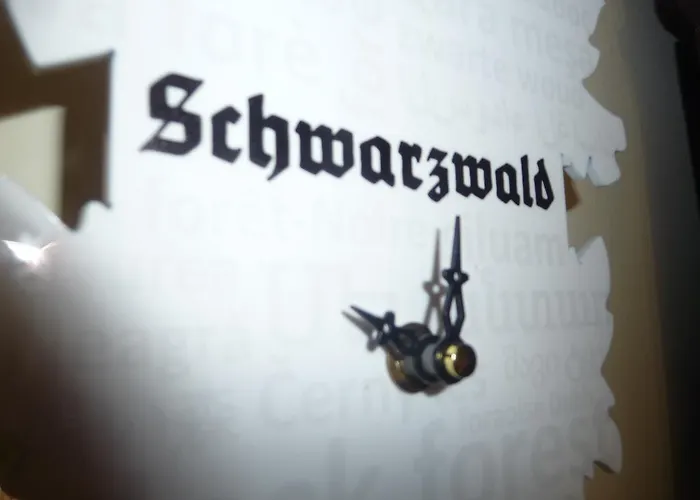 Schwarzwald לינה וארוחת בוקר גנגנבאך