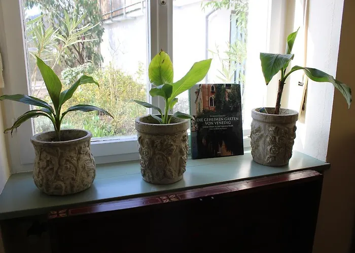 住宿加早餐酒店 Schwarzwald *