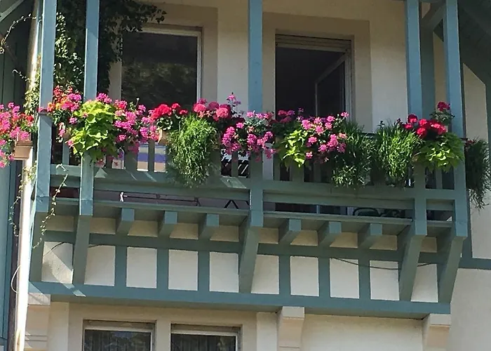 住宿加早餐酒店 Schwarzwald *