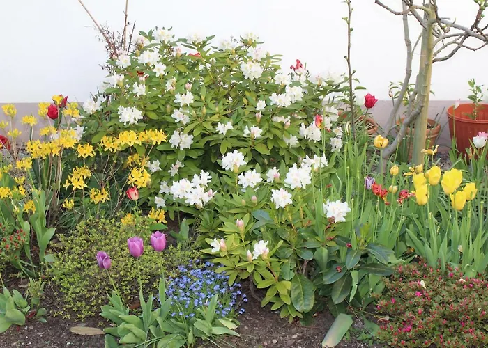 Schwarzwald 住宿加早餐酒店 哥根巴赫