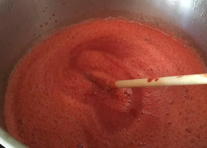 Schwarzwald 住宿加早餐酒店 *